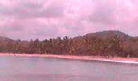 salines